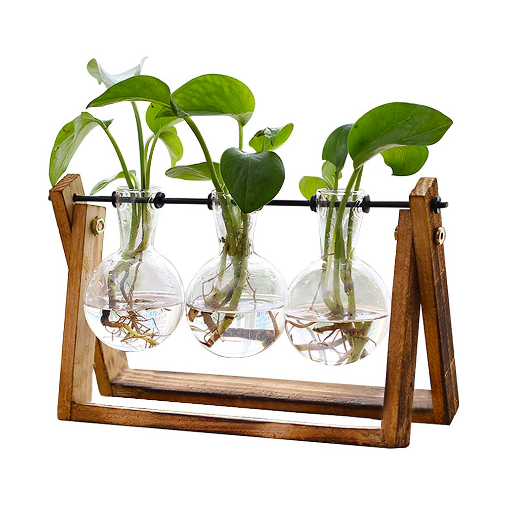 3 Bulb Desktop Plant Terrarium - Retro Wooden Propagation Station for Home & Office Decor